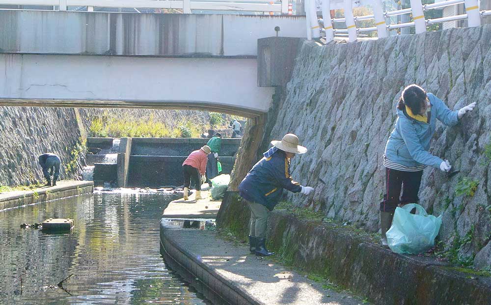 延命寺川の清掃活動